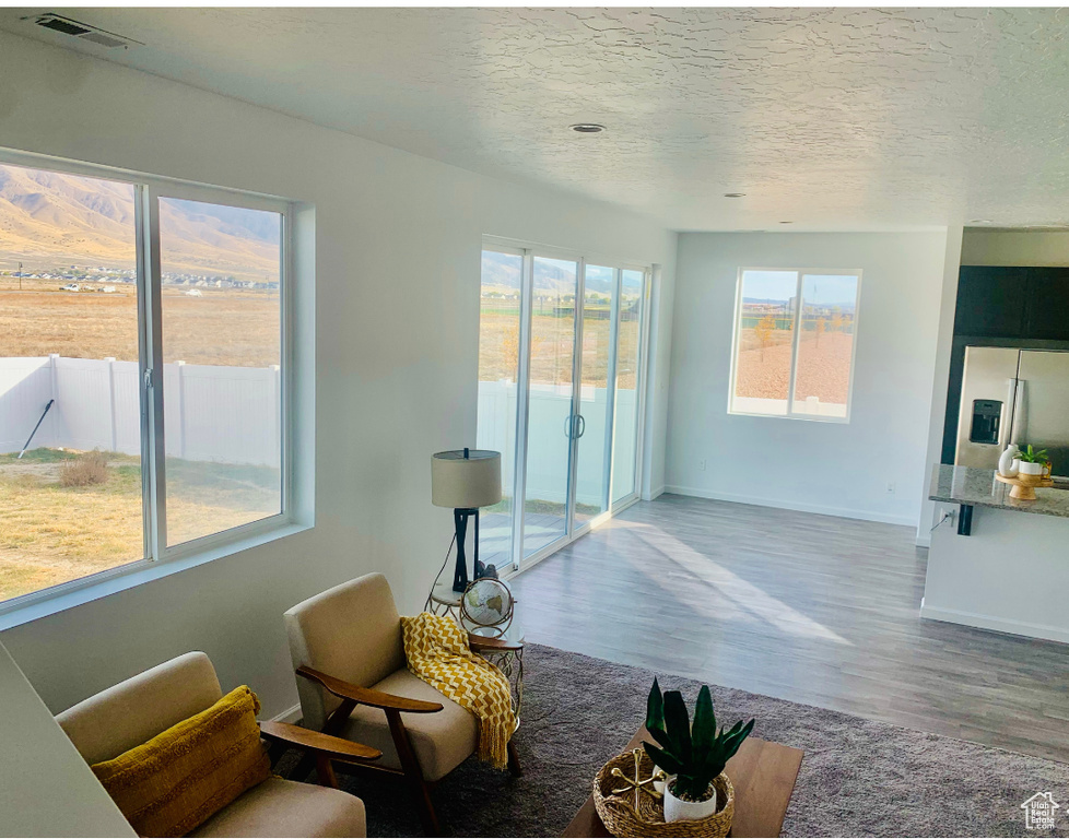 Living room with hardwood / wood-style floors, a textured ceiling, and plenty of natural light