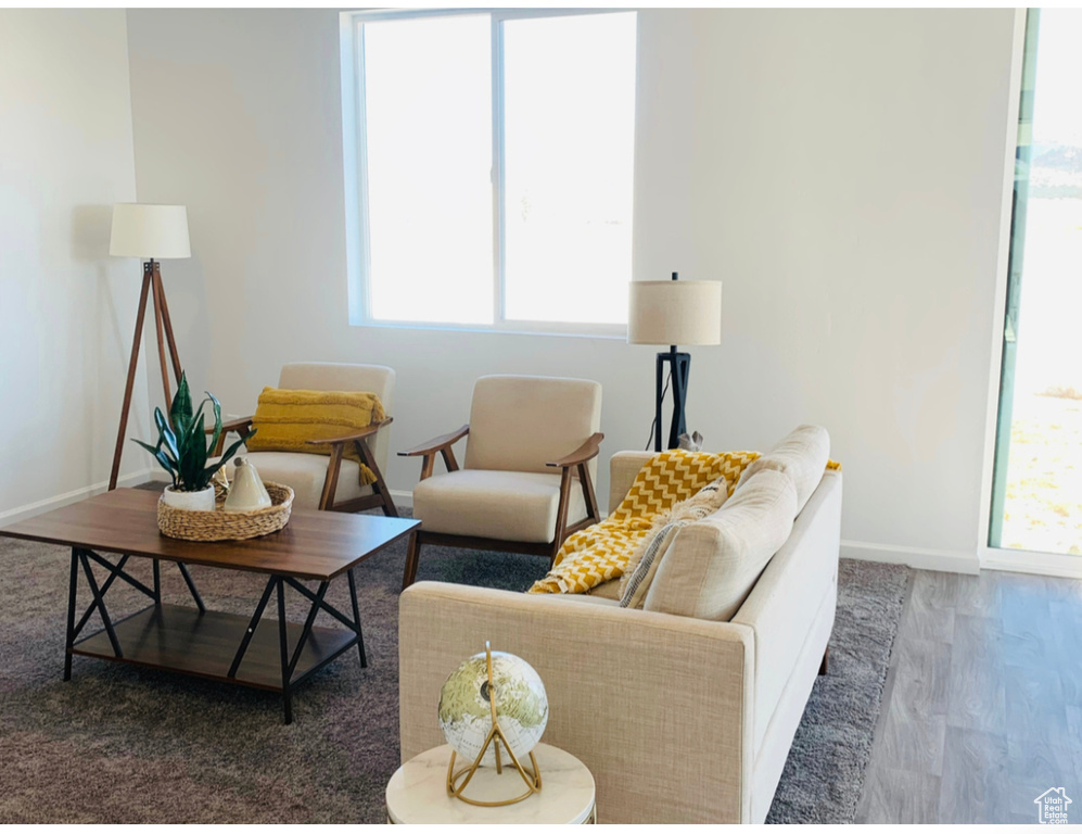 Living room featuring wood-type flooring and a wealth of natural light