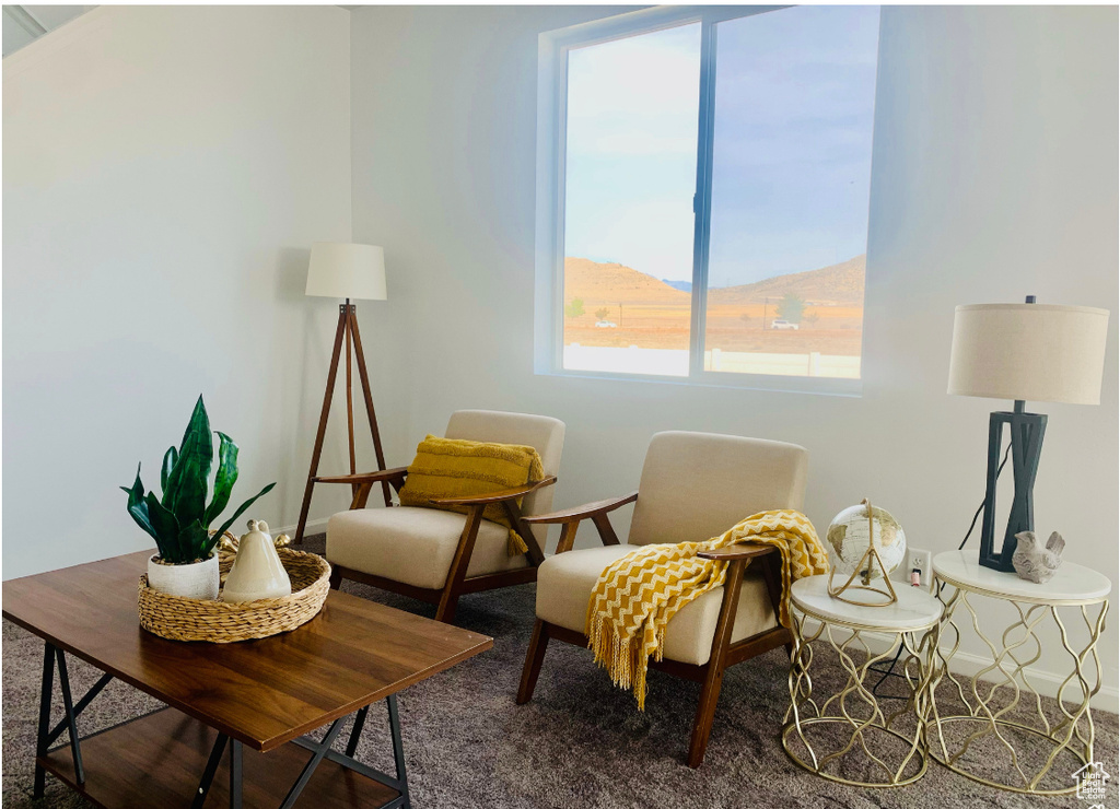 Sitting room with a mountain view