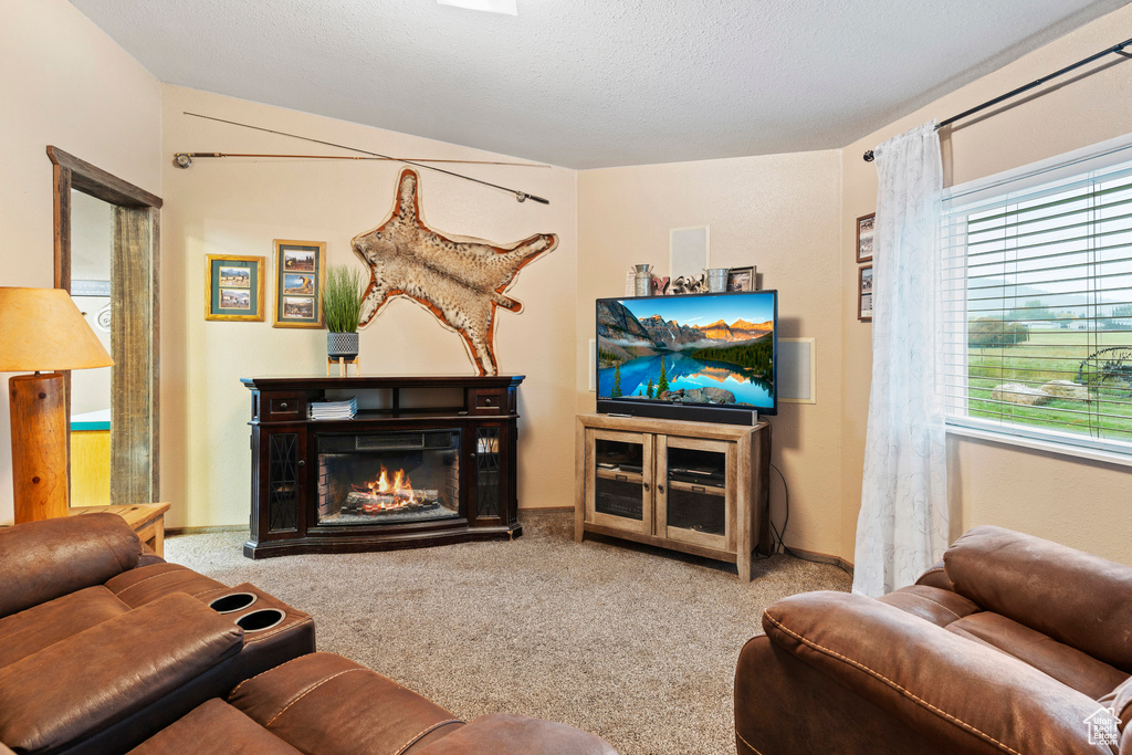 Carpeted living room featuring a textured ceiling