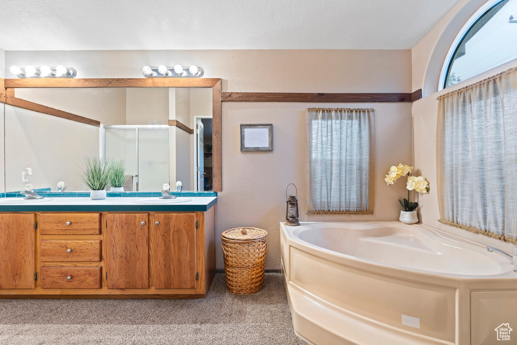 Bathroom with separate shower and tub and vanity