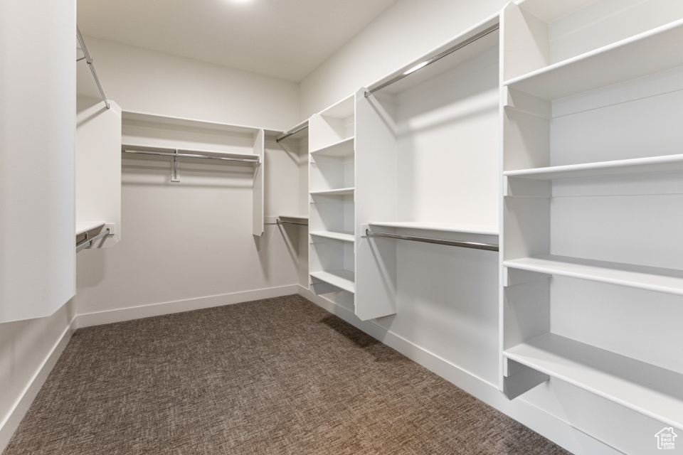 Spacious closet featuring dark carpet