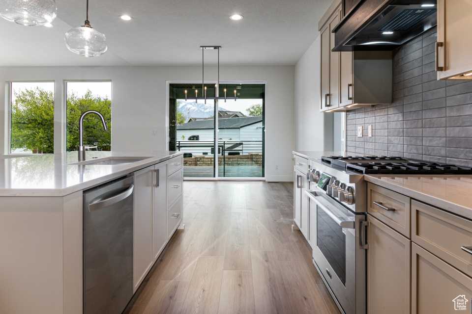 Kitchen with decorative backsplash, light wood-style floors, ventilation hood, a sink, and appliances with stainless steel finishes