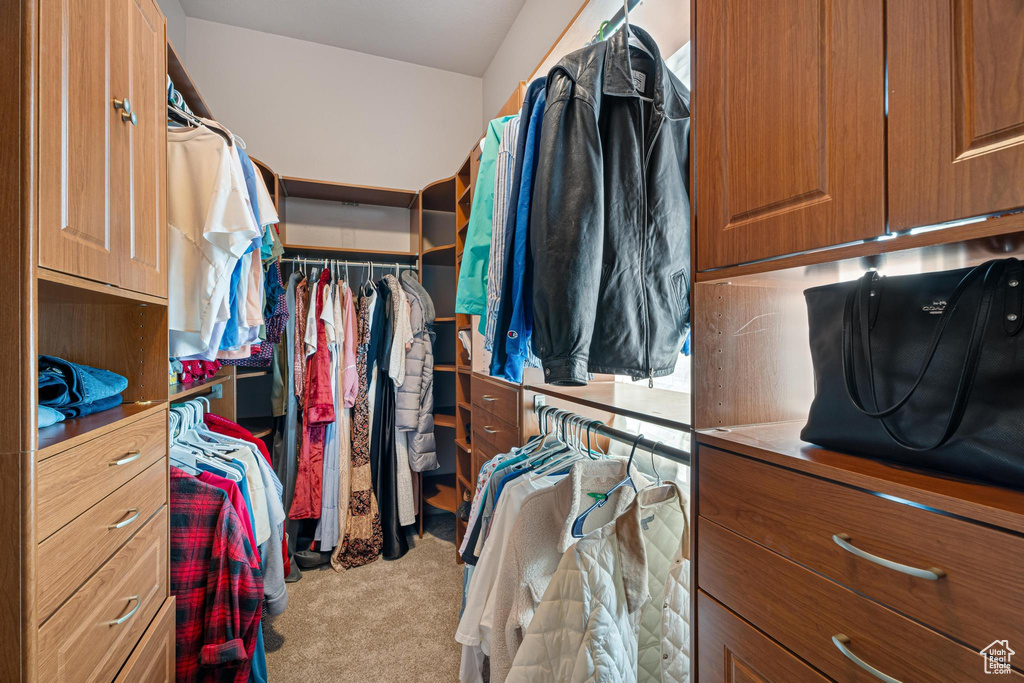 Spacious closet featuring light colored carpet