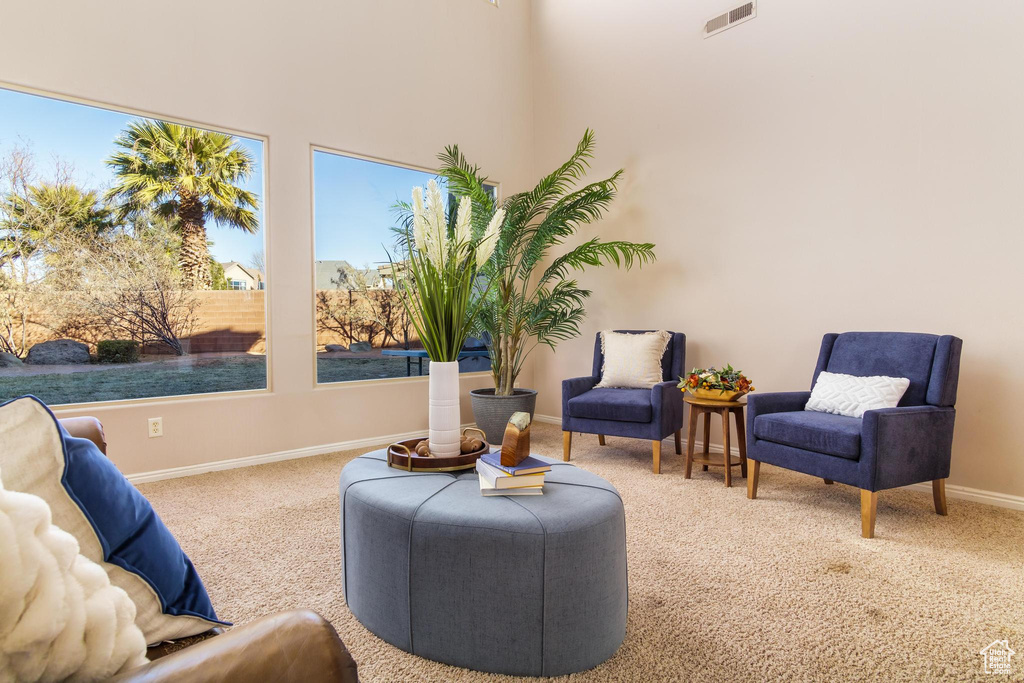 Living area with carpet flooring and a high ceiling