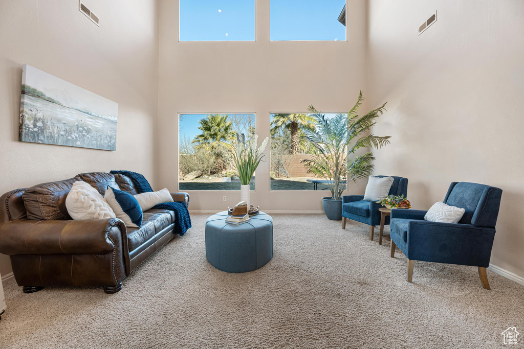 Living room with carpet floors and a high ceiling