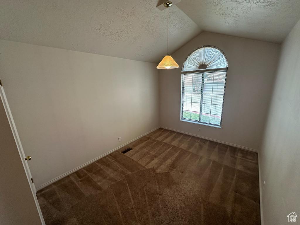 Unfurnished dining area featuring carpet flooring, a textured ceiling, and lofted ceiling