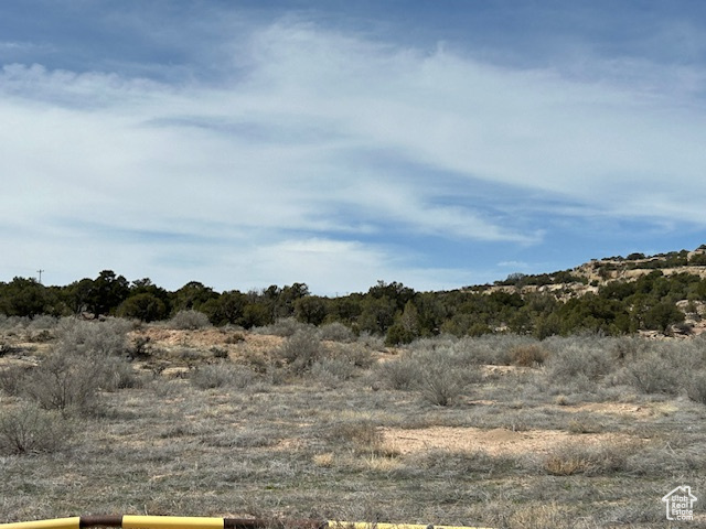 View of nature