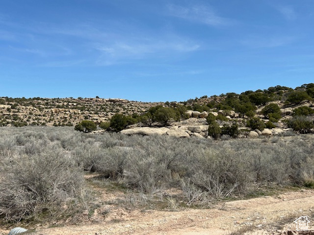 View of local wilderness