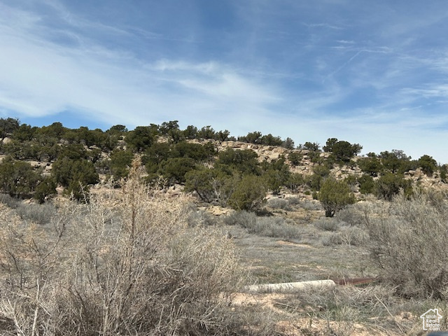 View of landscape