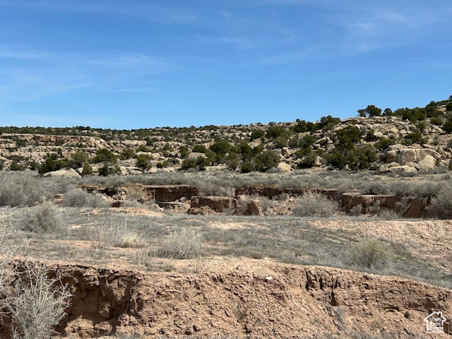 View of local wilderness