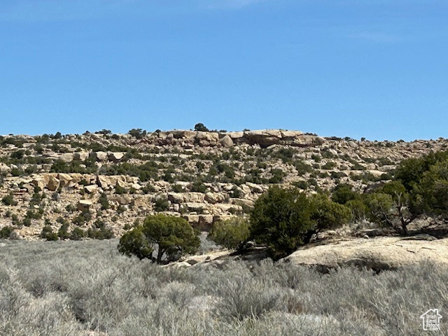 View of local wilderness