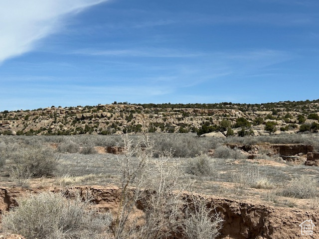 View of local wilderness