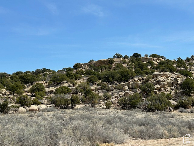 View of nature