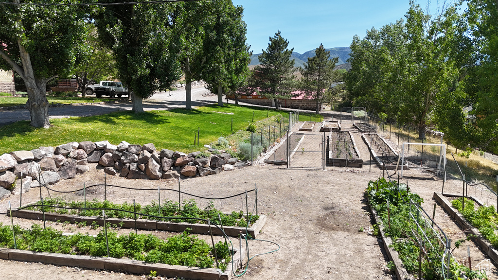 View of community featuring a vegetable garden and a mountain view