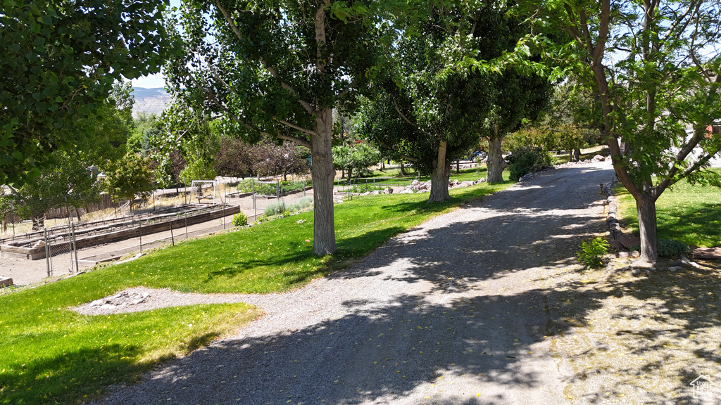 Surrounding community with a yard