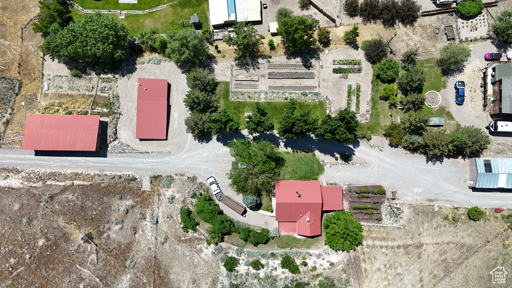 Bird\'s eye view