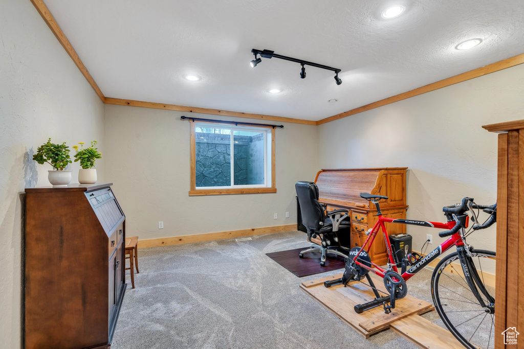 Home office with crown molding, light colored carpet, and track lighting