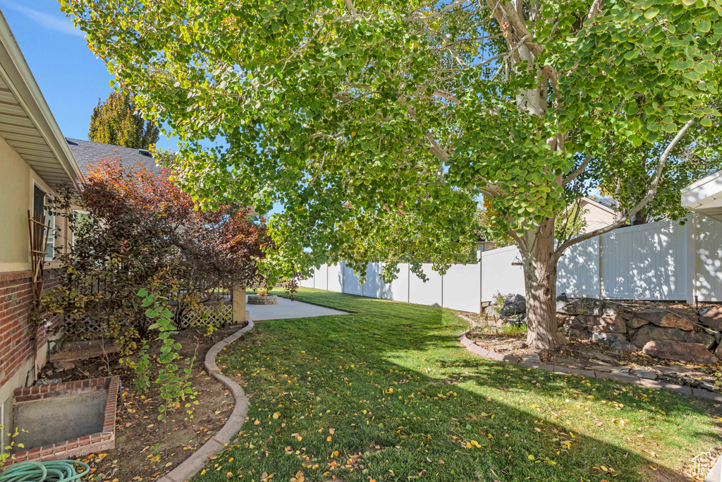 View of yard featuring a patio