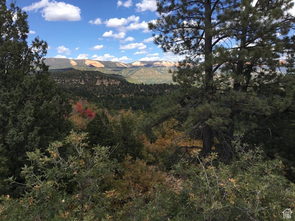 Property view of mountains