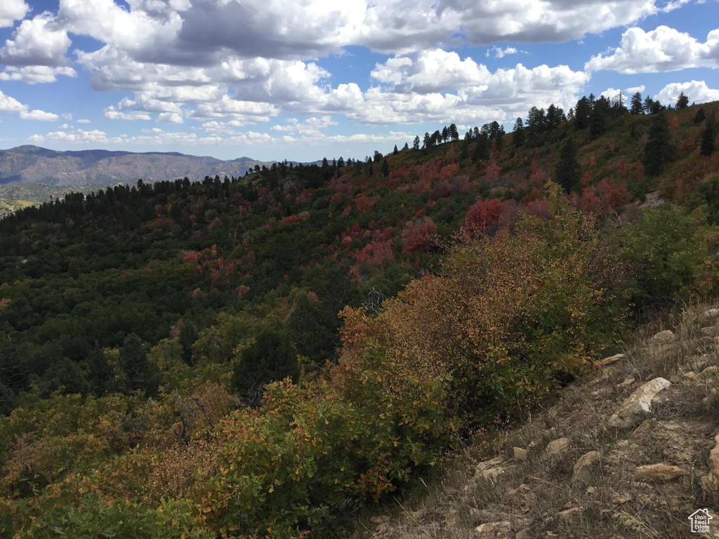 Property view of mountains