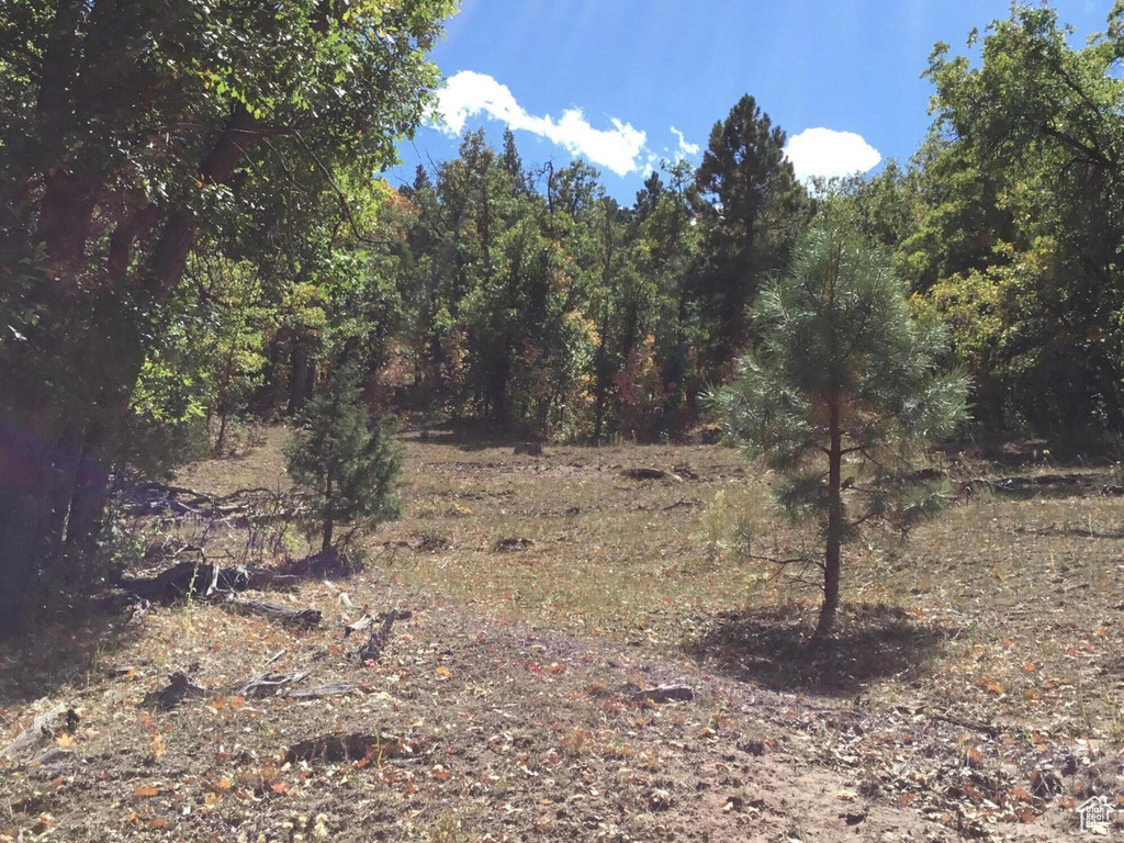 View of nature
