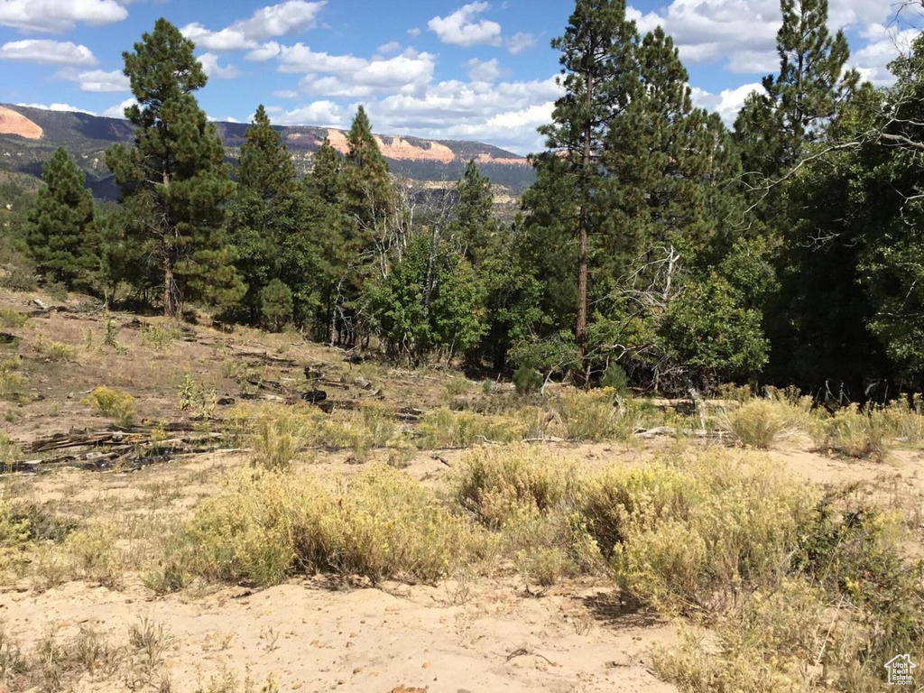 View of mountain feature