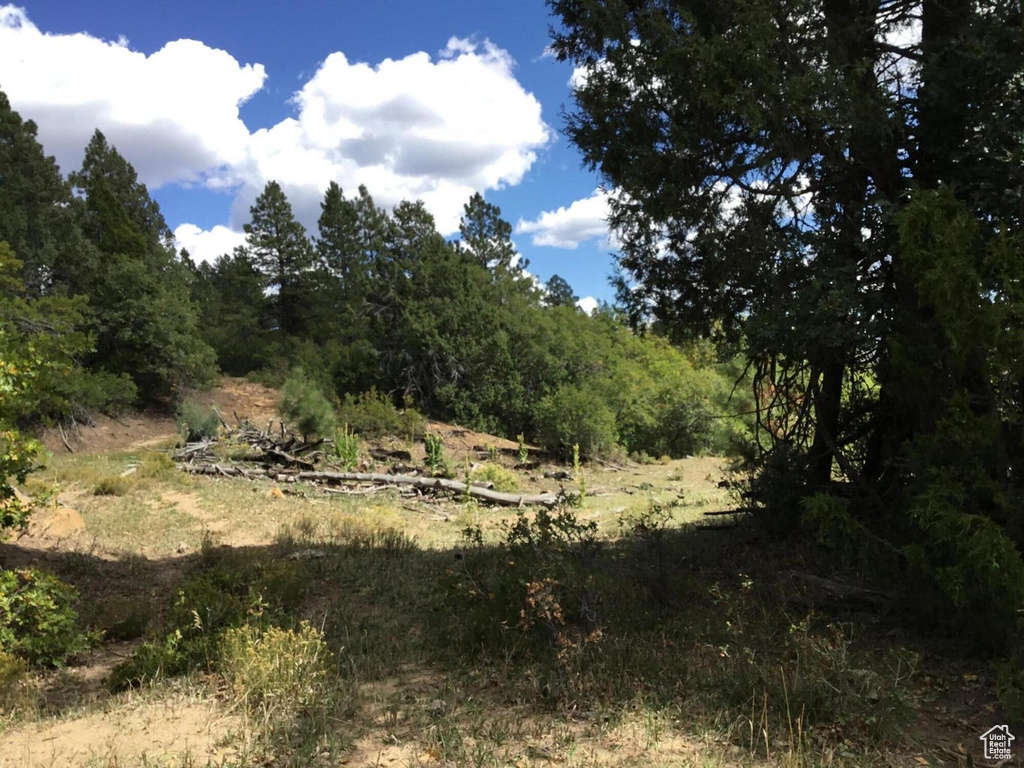 View of nature
