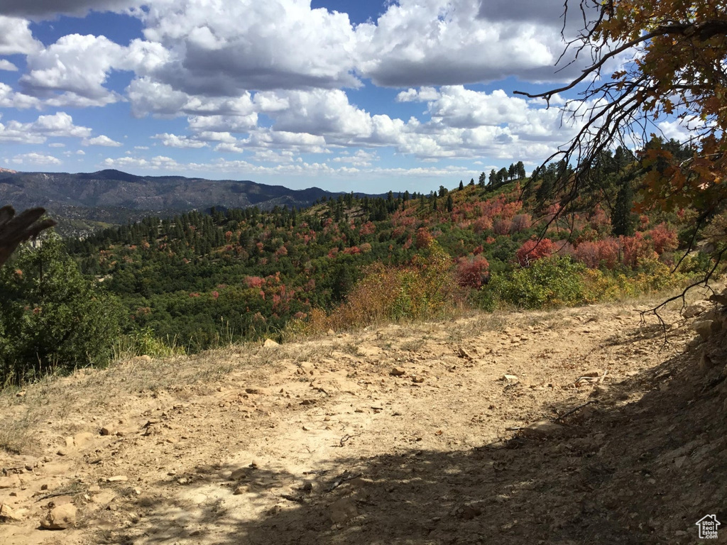 Property view of mountains