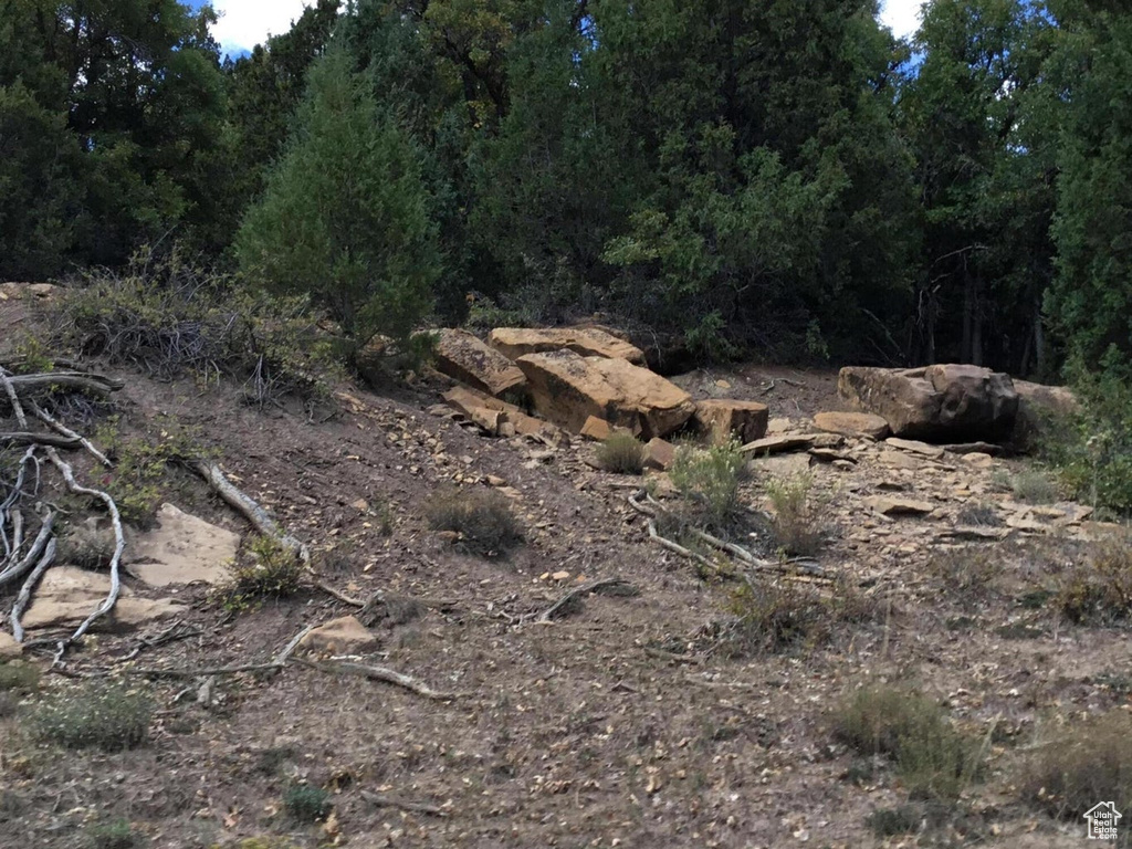 View of nature