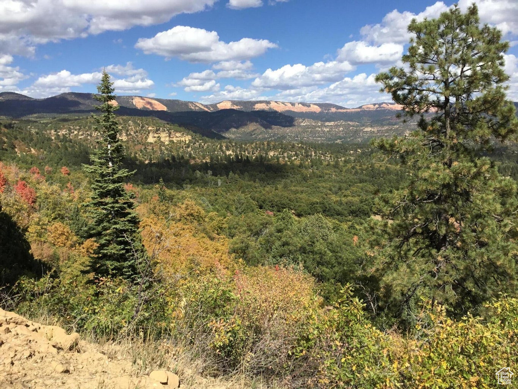 Mountain view