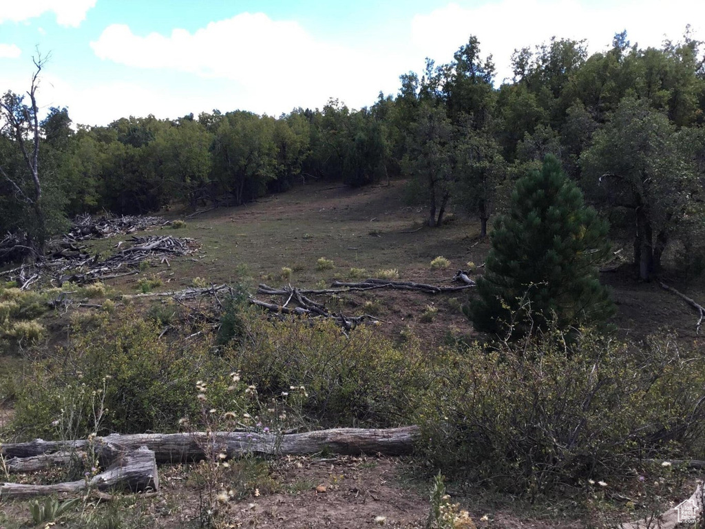 View of landscape