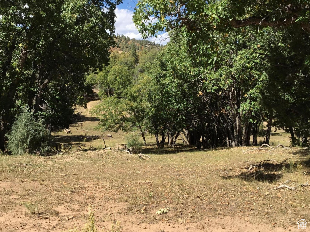 View of landscape