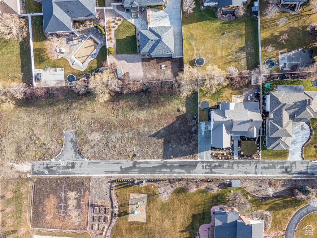 Bird\'s eye view