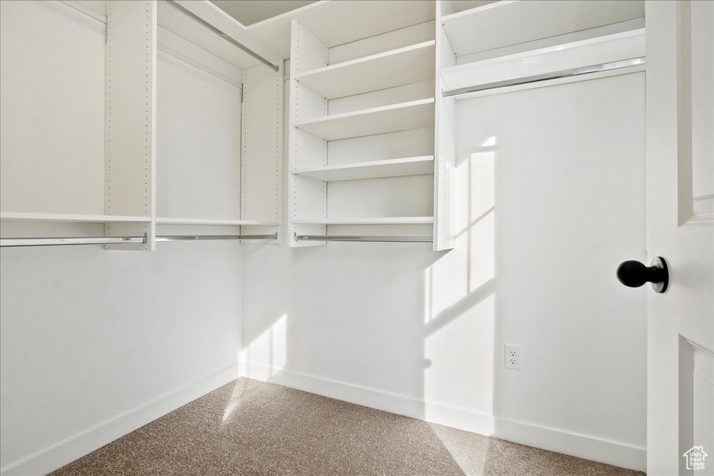 Walk in closet with carpet