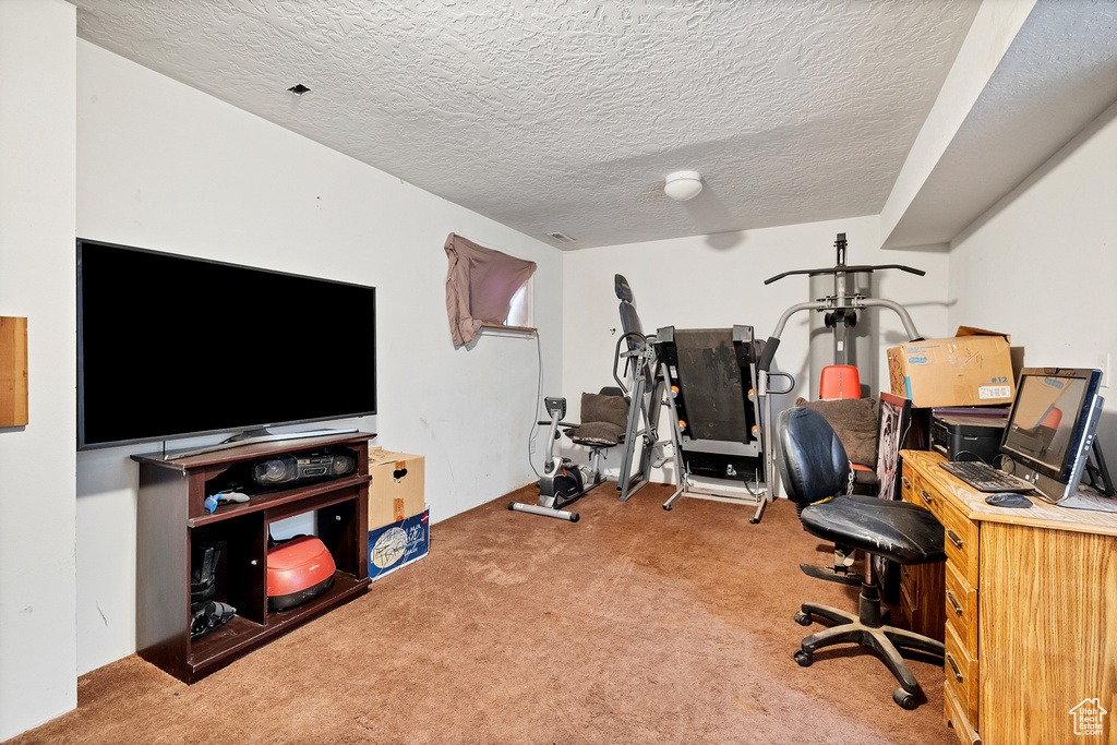 Interior space with carpet flooring and a textured ceiling