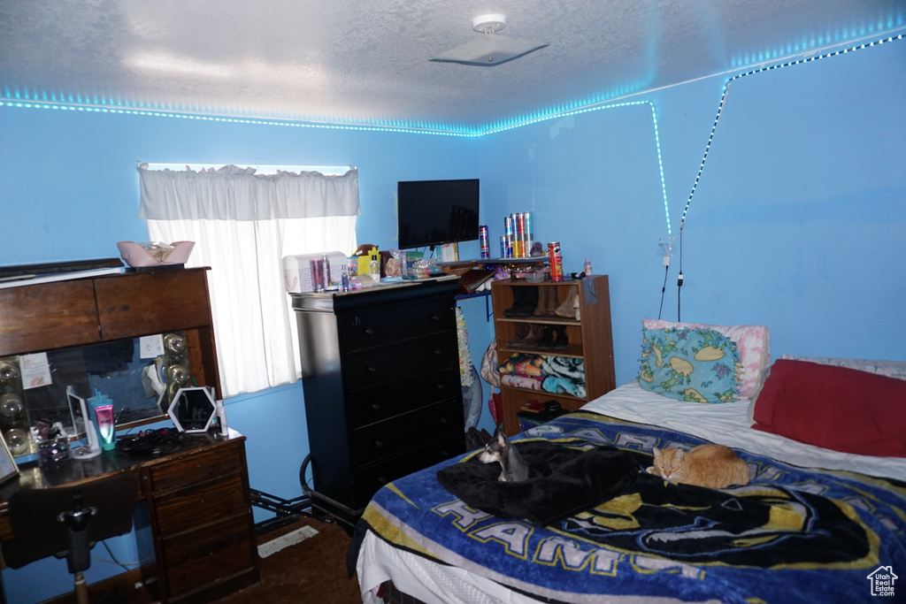 Bedroom with a textured ceiling