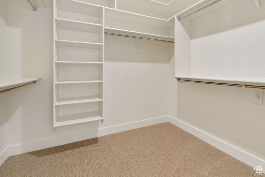 Spacious closet with carpet flooring