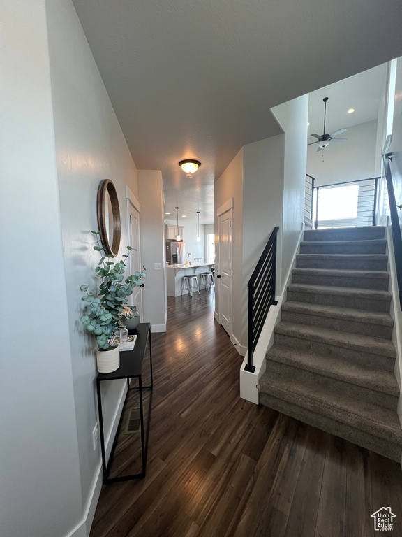 Stairs with hardwood / wood-style flooring, ceiling fan, and a wealth of natural light