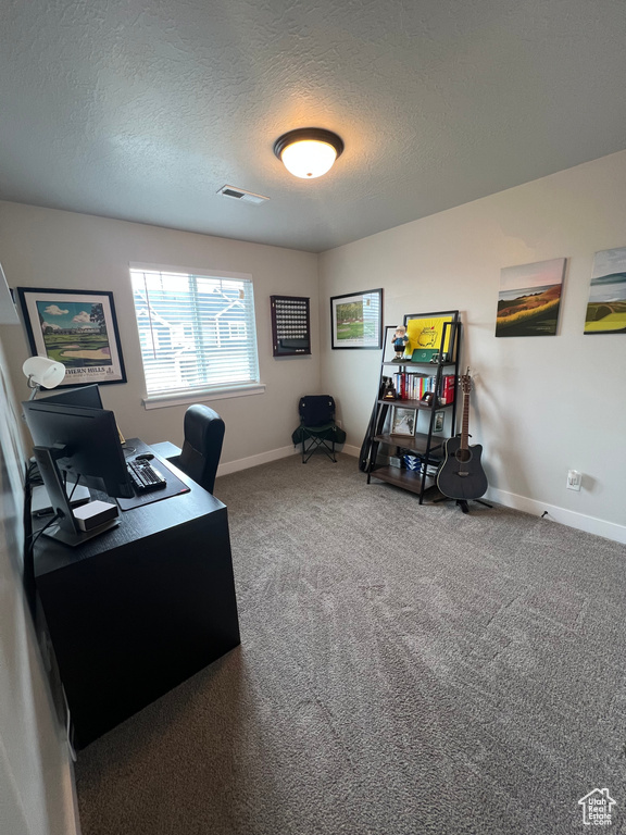 Office featuring carpet flooring and a textured ceiling
