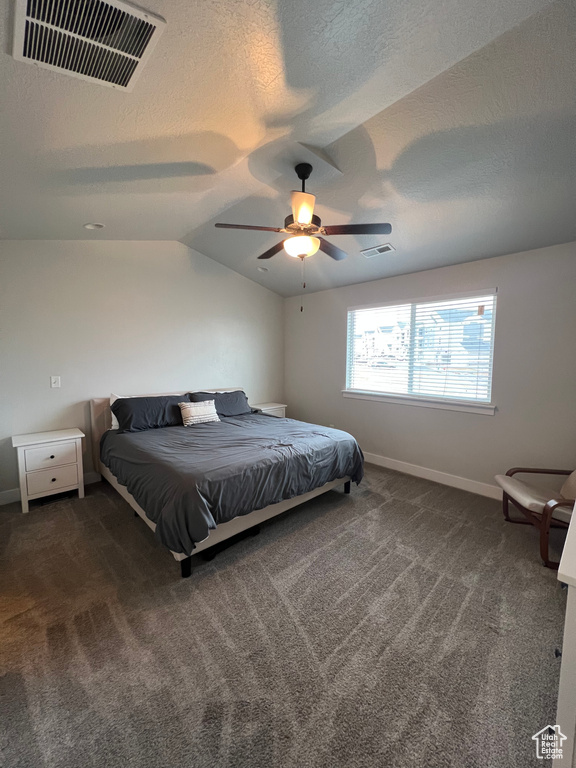 Bedroom featuring dark colored carpet, ceiling fan, lofted ceiling, and a textured ceiling