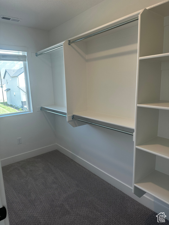 Spacious closet featuring carpet