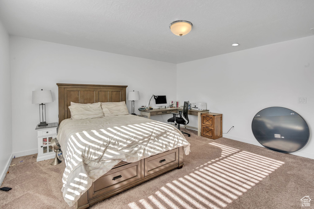 Bedroom with light carpet