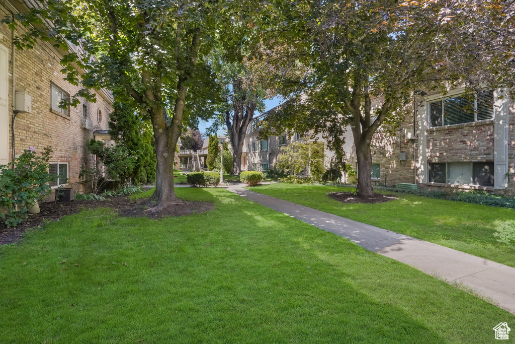 View of community with a yard