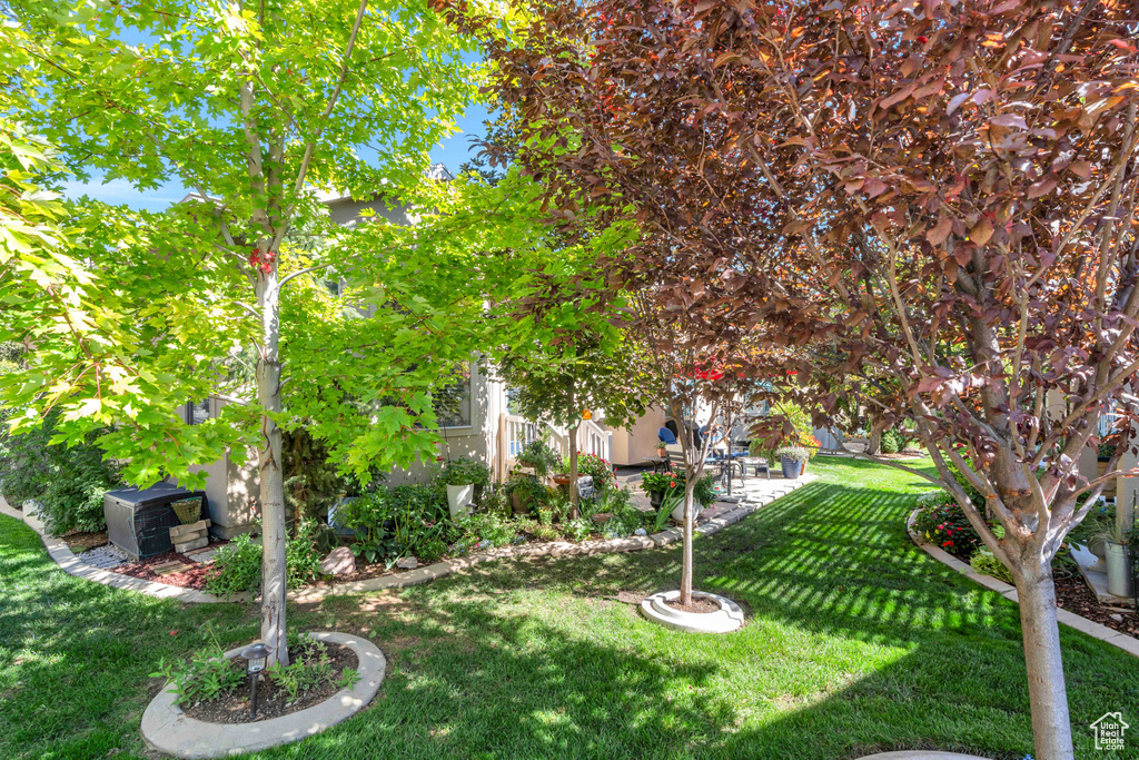 View of yard with a patio area