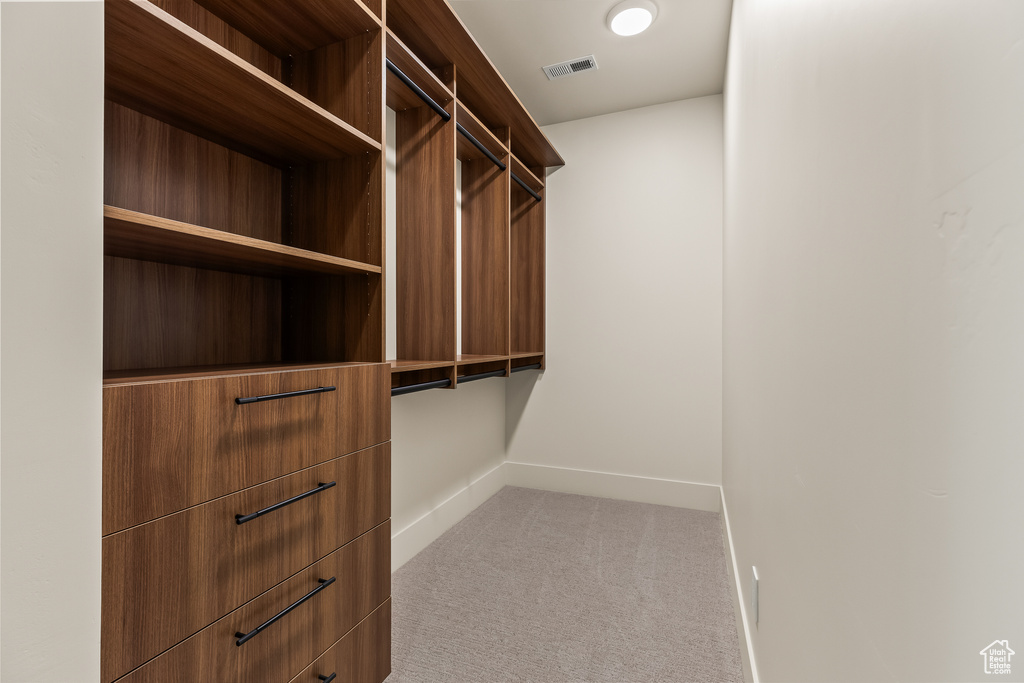 Spacious closet with carpet