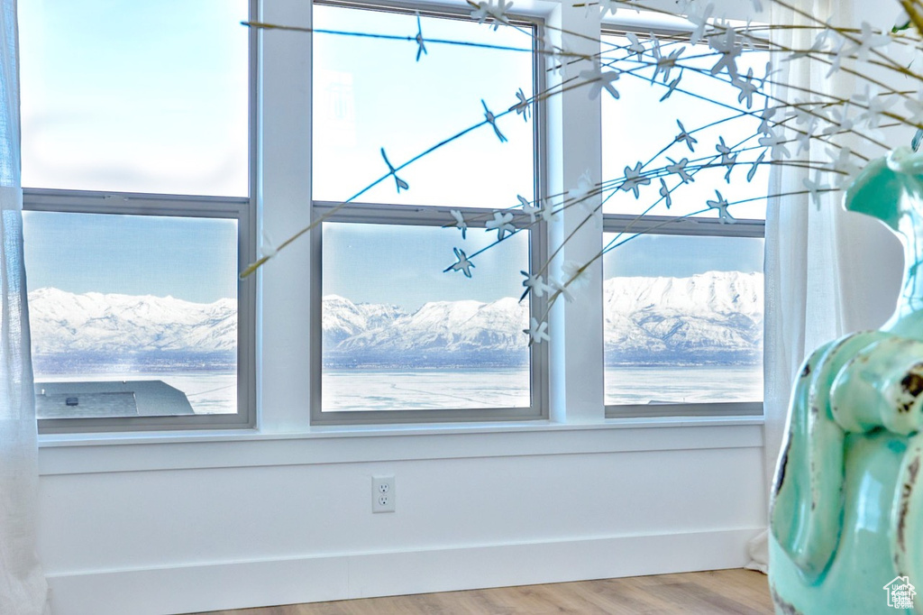 Details with hardwood / wood-style floors