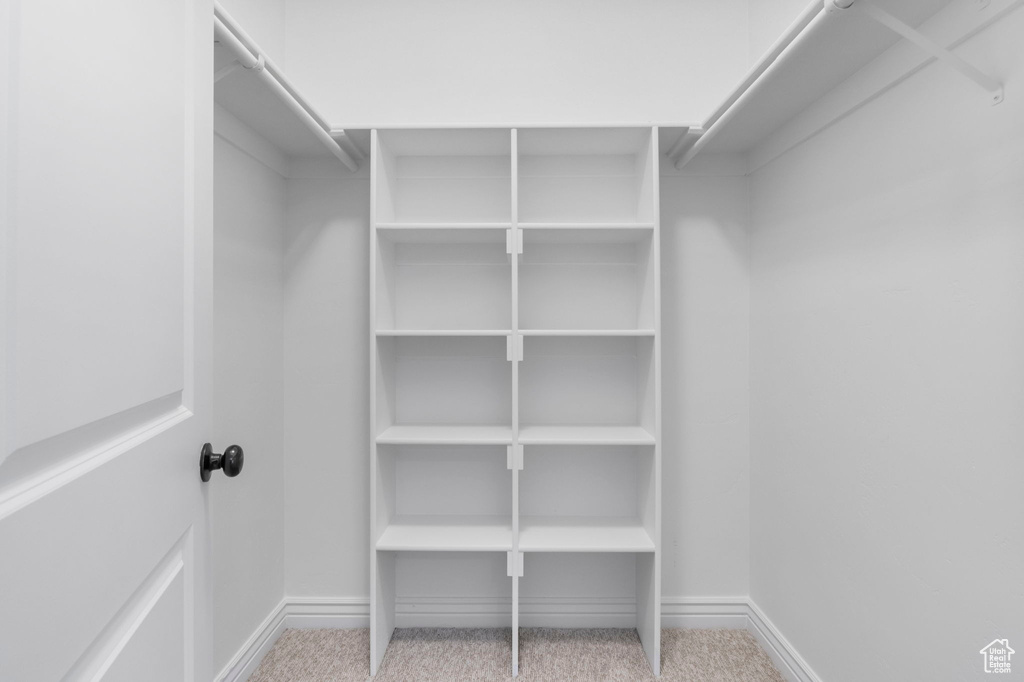 Spacious closet with light carpet