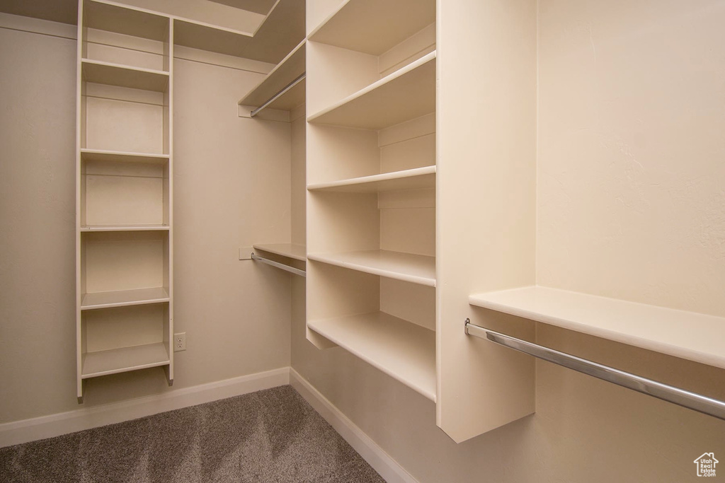 Walk in closet with carpet floors
