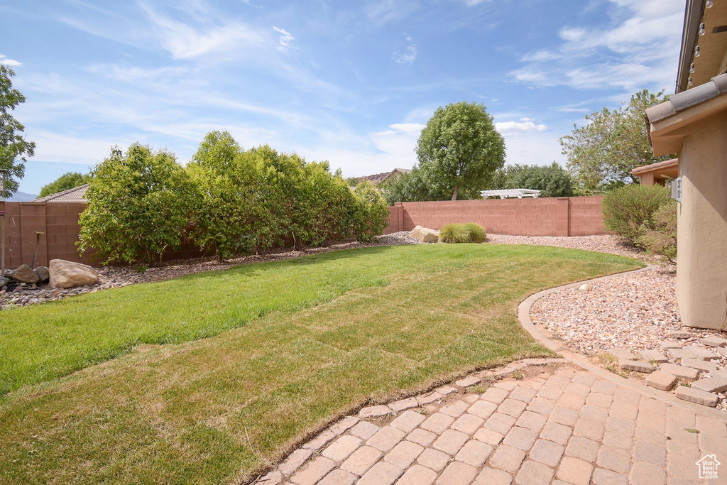 View of yard featuring a patio